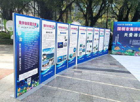 黄石KT板的种类和知识。